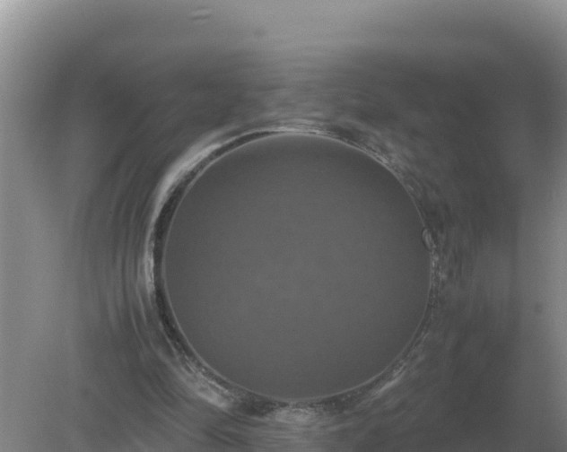 X0000079320294200611251812