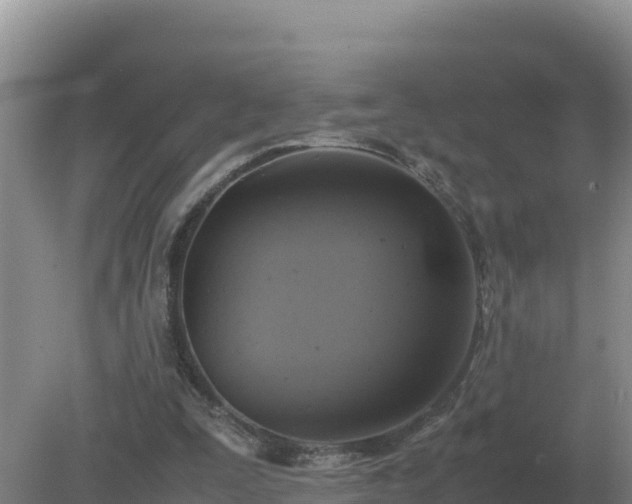 X0000079320295200611251811