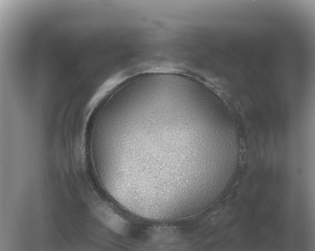 X0000079320296200611251811