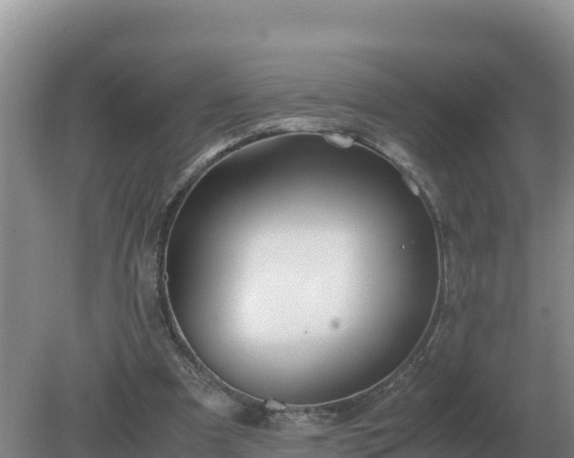 X0000079320297200611251811