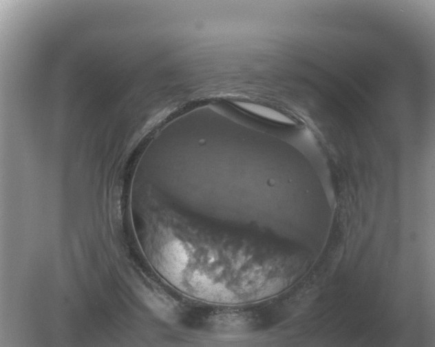 X0000079320299200611251811