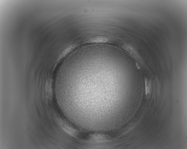 X0000079320300200611251811