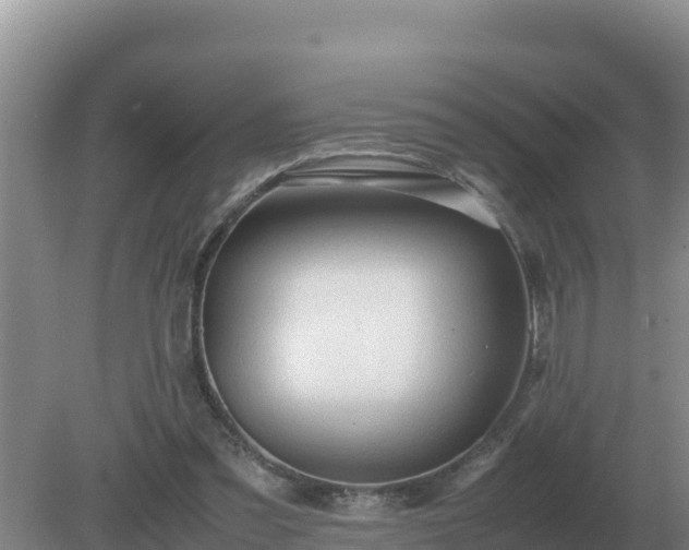 X0000079320301200611251811