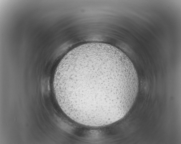 X0000079320302200611251811