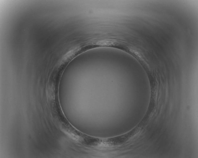 X0000079320303200611251811