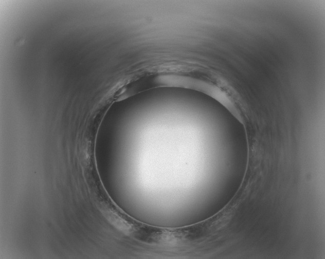 X0000079320305200611251811