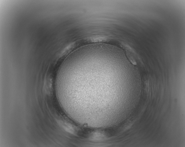 X0000079320308200611251811