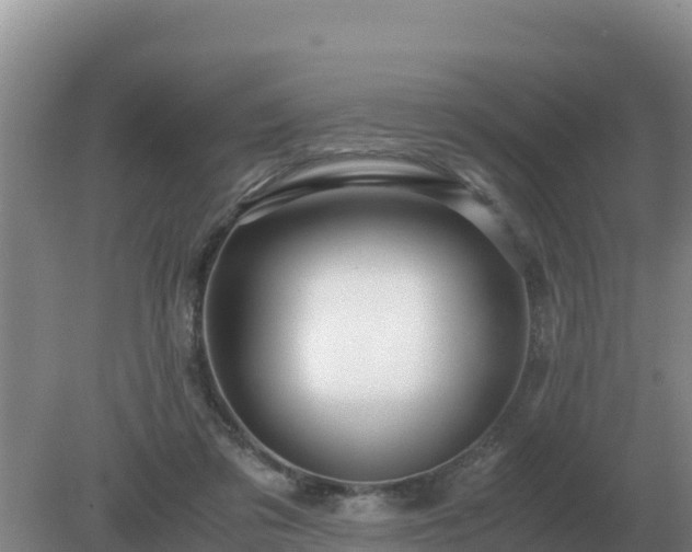 X0000079320309200611251811