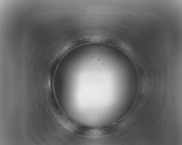 X0000079320310200611251811