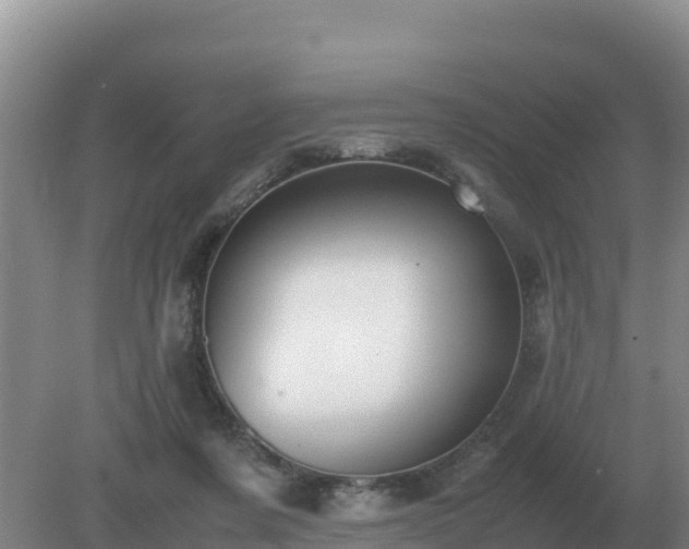 X0000079320311200611251811