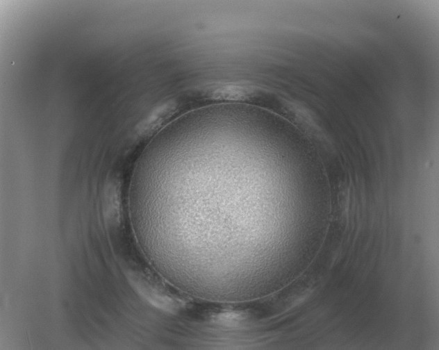 X0000079320312200611251811