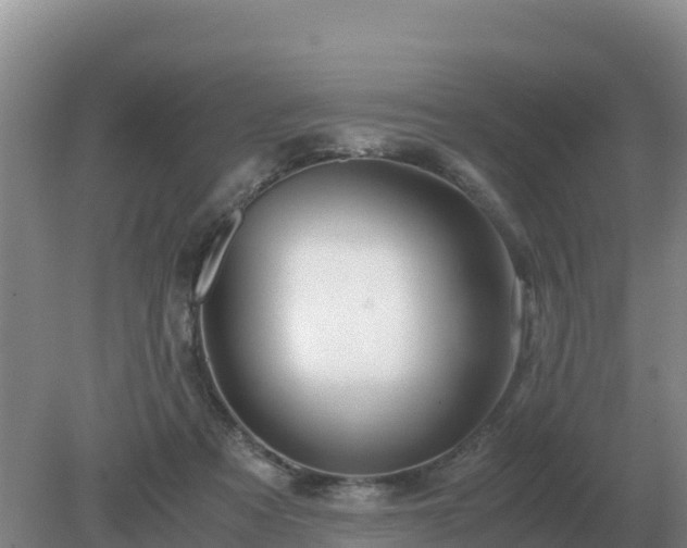 X0000079320313200611251811