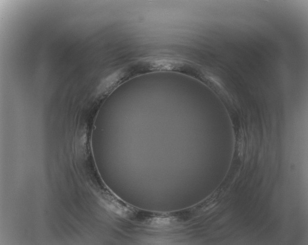 X0000079320314200611251811