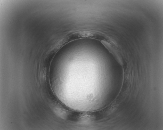 X0000079320315200611251811