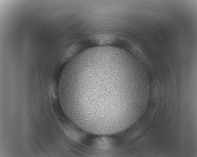 X0000079320316200611251811