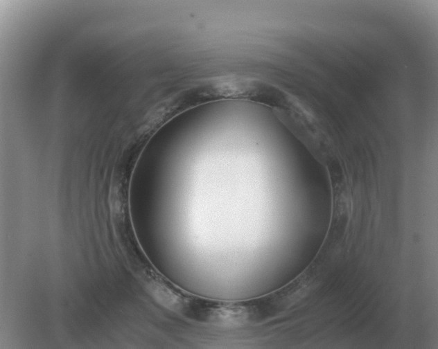 X0000079320317200611251811