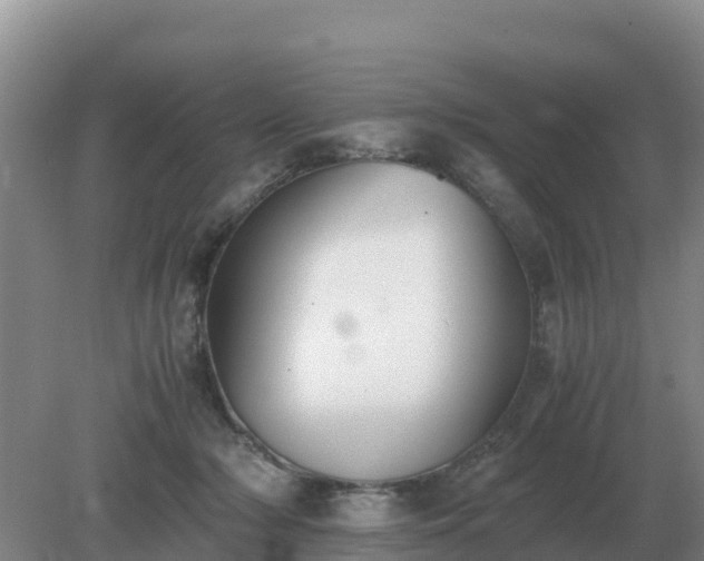 X0000079320318200611251811