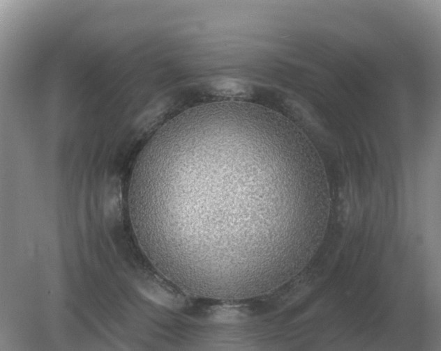 X0000079320320200611251811