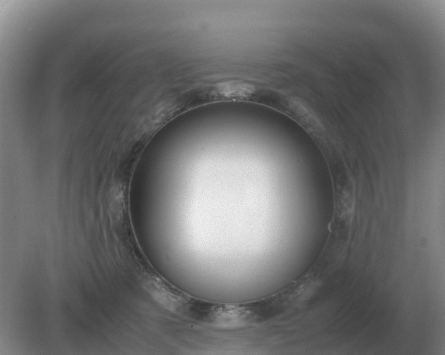 X0000079320321200611251811