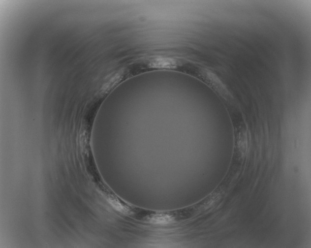 X0000079320322200611251811