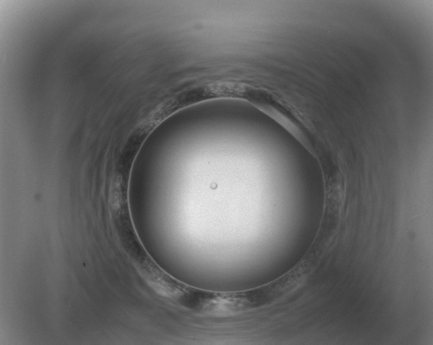 X0000079320323200611251811