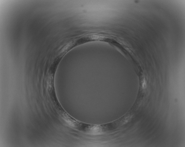 X0000079320325200611251811