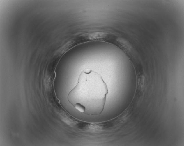 X0000079320327200611251811