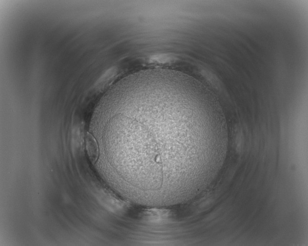 X0000079320328200611251811