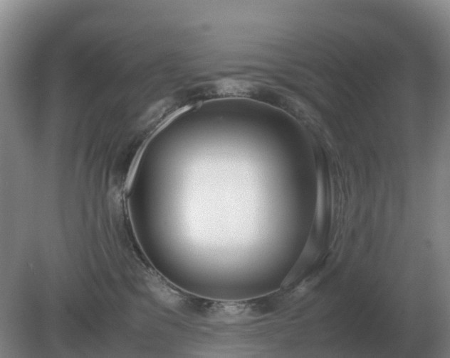 X0000079320329200611251811