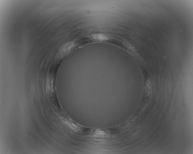 X0000079320330200611251811