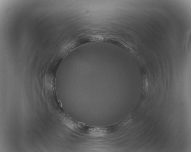 X0000079320331200611251811