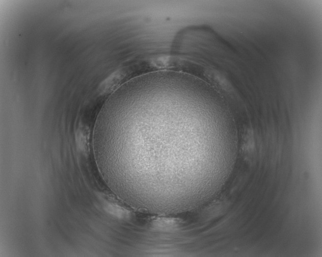 X0000079320332200611251811