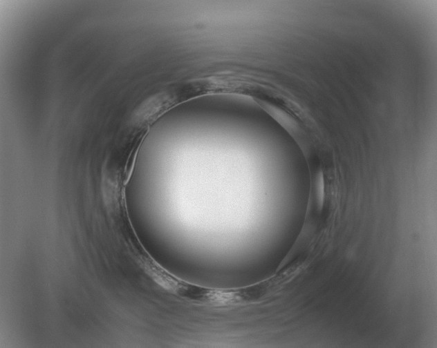 X0000079320333200611251811