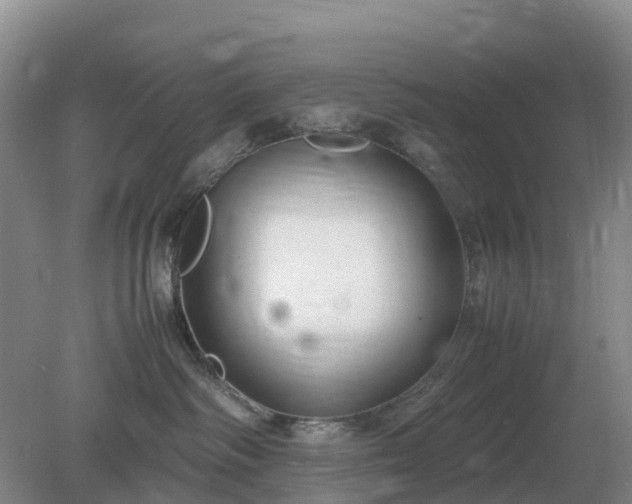 X0000079320334200611251811