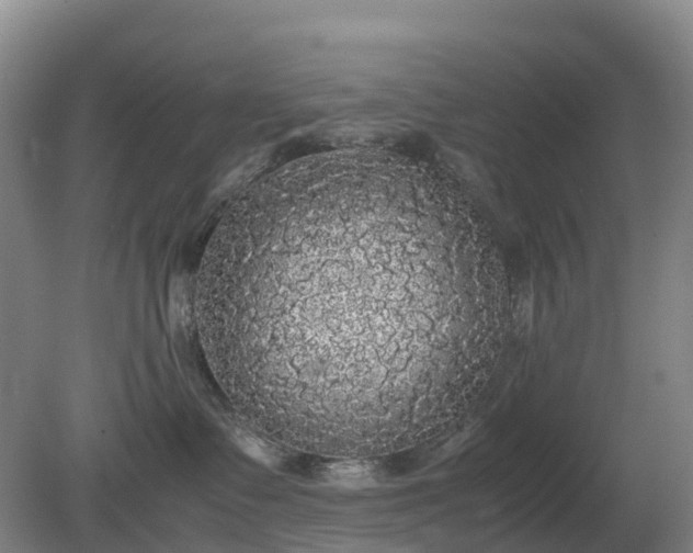 X0000079320335200611251811