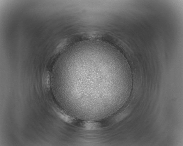 X0000079320336200611251811