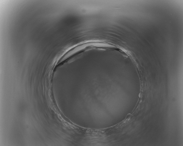 X0000079320337200611251810