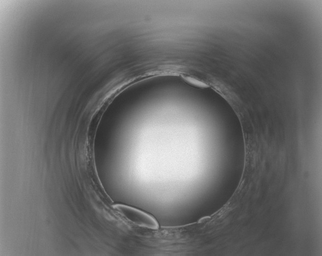 X0000079320338200611251810