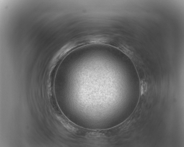 X0000079320339200611251810