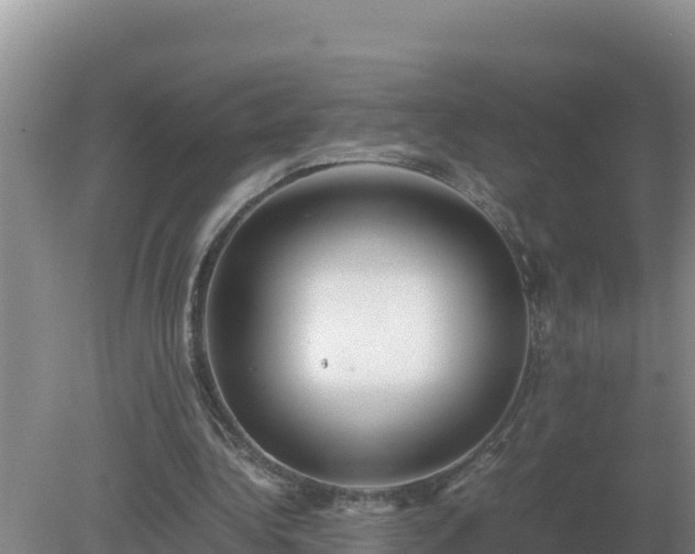 X0000079320340200611251810