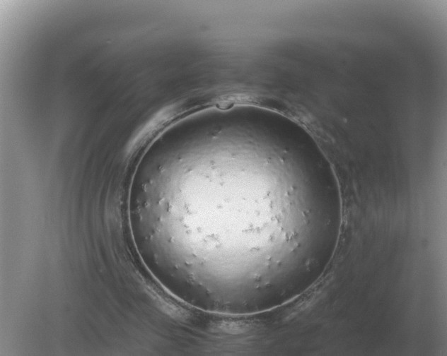 X0000079320341200611251810