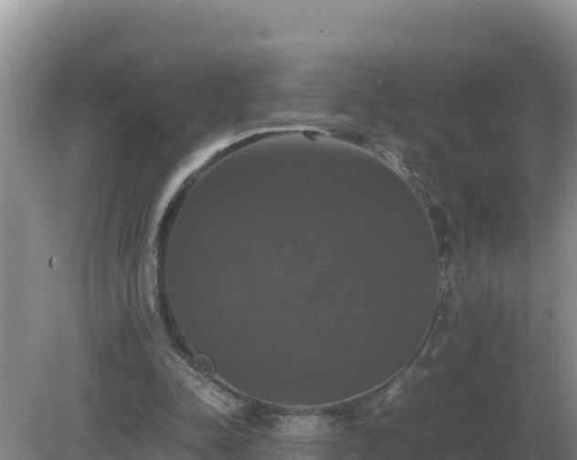 X0000079320342200611251810