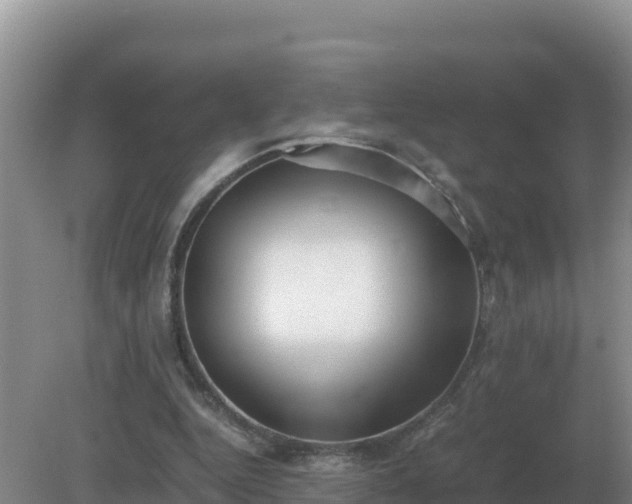 X0000079320344200611251810