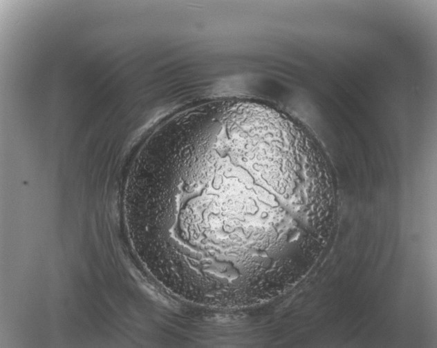 X0000079320345200611251810