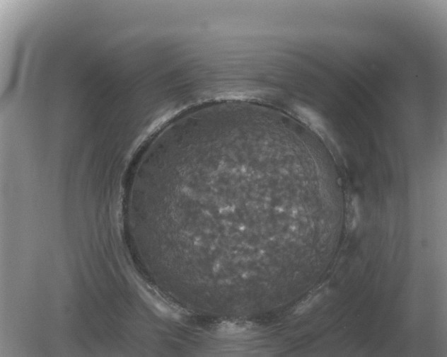 X0000079320346200611251810