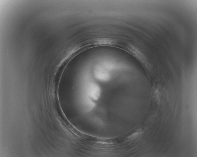 X0000079320347200611251810