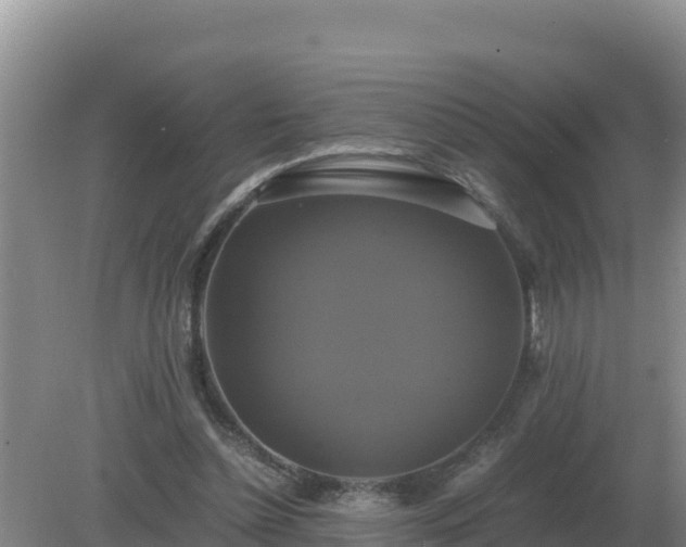 X0000079320348200611251810