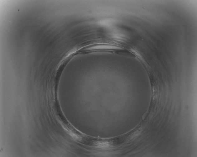 X0000079320349200611251810