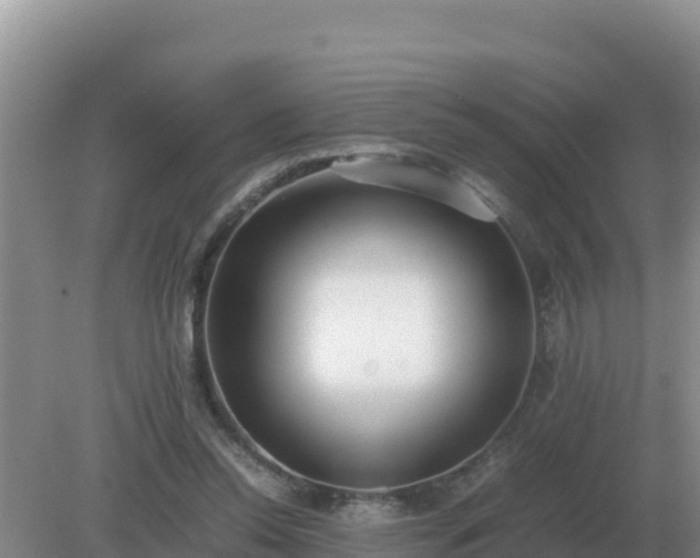 X0000079320350200611251810