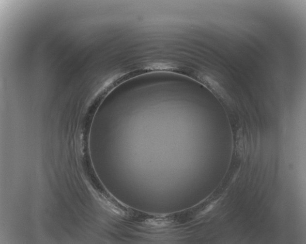 X0000079320351200611251810